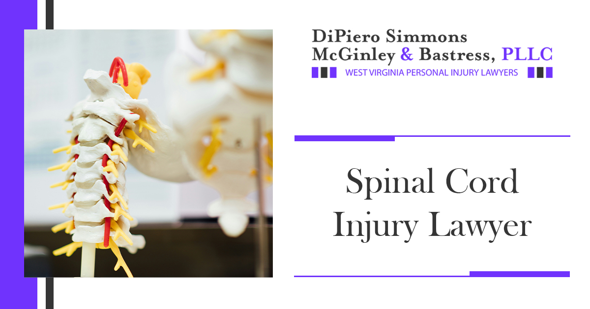 Spinal Cord Injury Lawyer